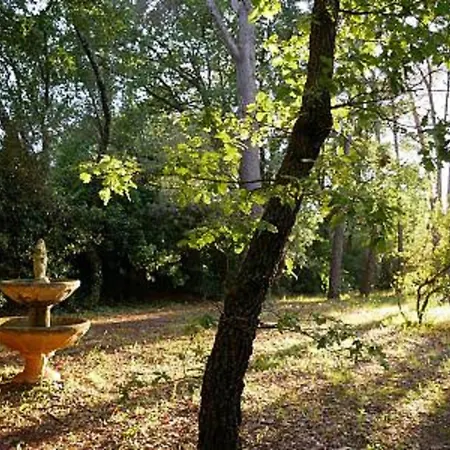 Provencal With Swimming Pool And Shaded Park Draguignan