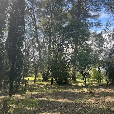 Provencal With Swimming Pool And Shaded Park * Draguignan