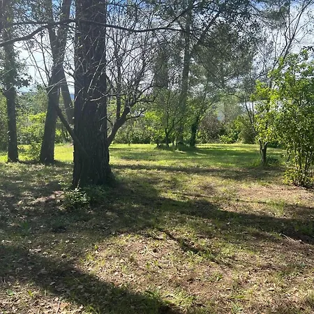 Hébergement de vacances Provencal With Swimming Pool And Shaded Park *
