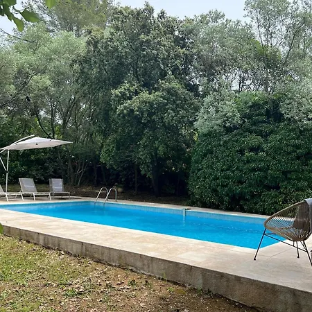 Provencal With Swimming Pool And Shaded Park Hébergement de vacances Draguignan